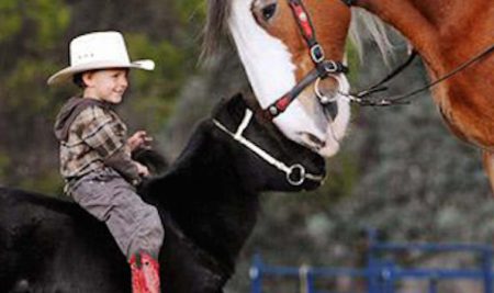 Riabilitazione equestre ed equitazione integrata